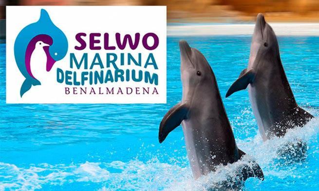 Trebol Benalmadena